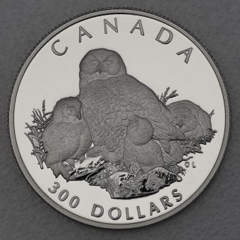 Platinmünze 1oz "Snowy Owl" 1991 Wildlife Canada (Kanada)