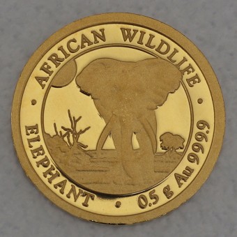 Goldmünze 0,5g "Elefant" 2025 African Wildlife (Somalia)
