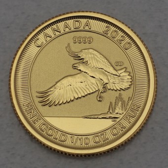 Goldmünze 1/10oz "Adler" 2020 (Kanada)