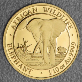 Goldmünze 1/10oz "Elefant" 2025 African Wildlife (Somalia)