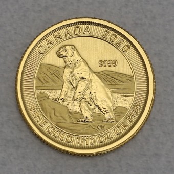 Goldmünze 1/10oz "Polarbär 2020" (Kanada) 