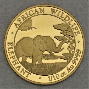 Goldmünze 1/10oz "Elefant" 2019 African Wildlife (Somalia)
