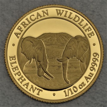 Goldmünze 1/10oz "Elefant" 2020 African Wildlife (Somalia)