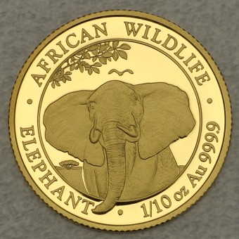 Goldmünze 1/10oz "Somalia Elefant 2021" 