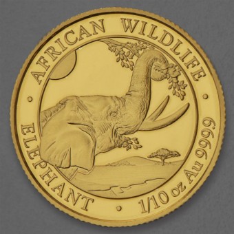 Goldmünze 1/10oz "Elefant" 2023 African Wildlife (Somalia)