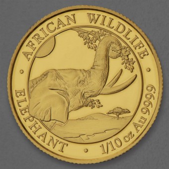 Goldmünze 1/10oz "Somalia Elefant 2023" 