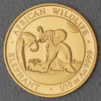 Goldmünze 1/10oz "Elefant" 2024 African Wildlife (Somalia)