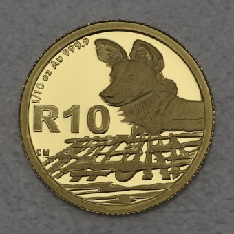 Goldmünze 1/10oz "Wildhund" 2012 Natura - Safari durch Südafrika (Südafrika)