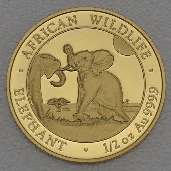 Goldmünze 1/2oz "Elefant" 2024 African Wildlife (Somalia)