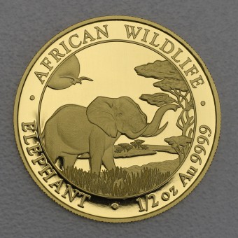 Goldmünze 1/2oz "Somalia Elefant 2019" 