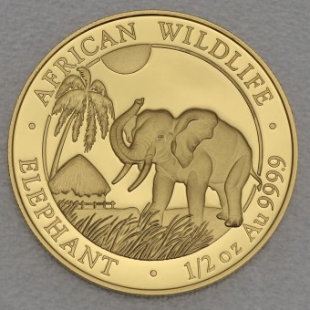 Goldmünze 1/2oz "Elefant" 2017 African Wildlife (Somalia)