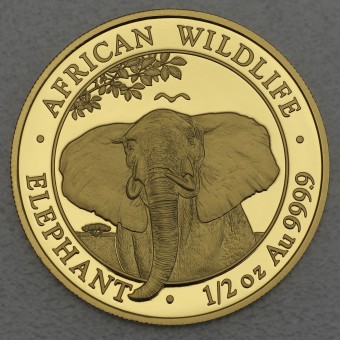 Goldmünze 1/2oz "Elefant" 2021 African Wildlife (Somalia)