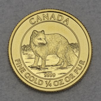 Goldmünze 1/4oz "Polarfuchs" 2014 (Kanada)