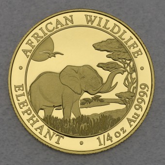 Goldmünze 1/4oz "Somalia Elefant - 2019" 