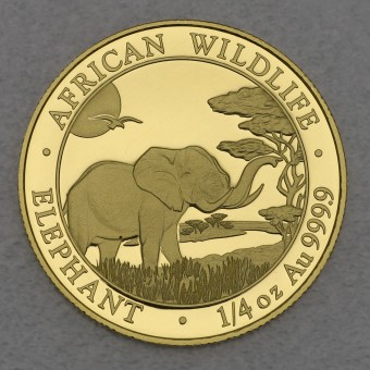 Goldmünze 1/4oz "Elefant" 2019 African Wildlife (Somalia)