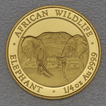 Goldmünze 1/4oz "Elefant" 2020 African Wildlife (Somalia)