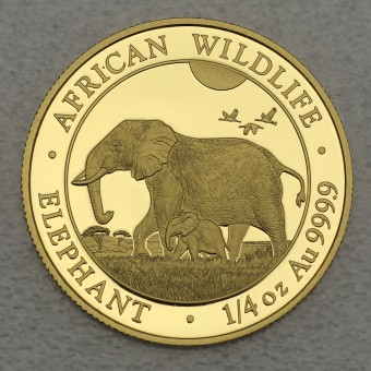 Goldmünze 1/4oz "Elefant" 2022 African Wildlife (Somalia)