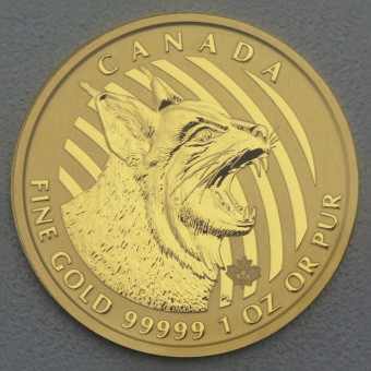 Goldmünze 1oz "Bobcat 2020" (Kanada) "Call of the wild" Serie