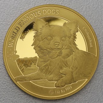Goldmünze 1oz "Chihuahua" 2023 World Famous Dogs (Kamerun)