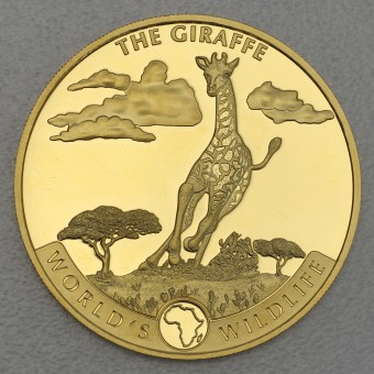 Goldmünze 1oz "Congo - The Giraffe 2019" World s Wildlife Serie