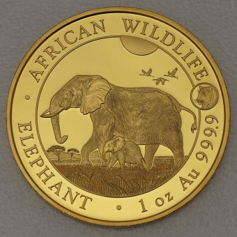 Goldmünze 1oz "Elefant" 2022 Privy "Tiger" Special Edition - African Wildlife (Somalia)
