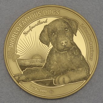 Goldmünze 1oz "Labrador" 2023 World Famous Dogs (Kamerun)
