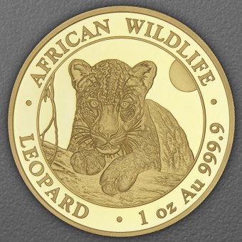 Goldmünze 1oz "Leopard" 2025 African Wildlife (Somalia)
