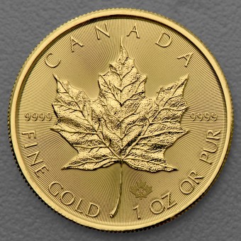 Goldmünze 1oz "Maple Leaf" (akt. Jahrgang) 