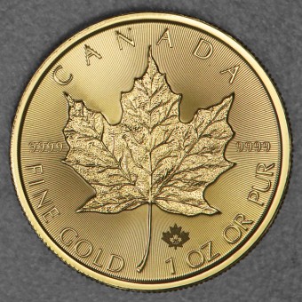 Goldmünze 1oz "Maple Leaf" aktueller Jahrgang (Kanada)