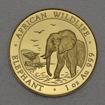 Goldmünze 1oz "Elefant" 2010 African Wildlife (Somalia)