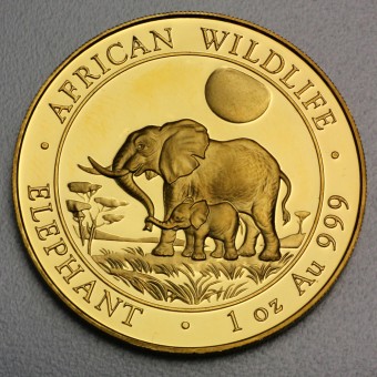 Goldmünze 1oz "Somalia Elefant - 2011" 