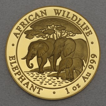 Goldmünze 1oz "Somalia Elefant 2013" 