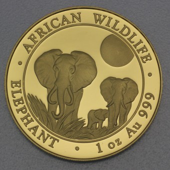 Goldmünze 1oz "Elefant" 2014 African Wildlife (Somalia)