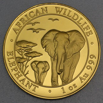 Goldmünze 1oz "Elefant" 2015 African Wildlife (Somalia)