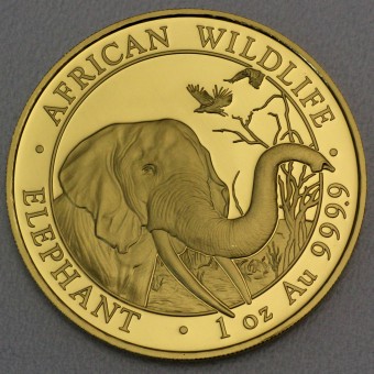 Goldmünze 1oz "Elefant" 2018 African Wildlife (Somalia)