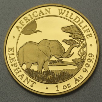 Goldmünze 1oz "Somalia Elefant 2019" 