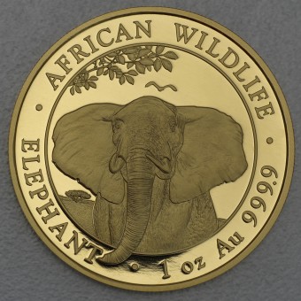 Goldmünze 1oz "Somalia Elefant 2021" 