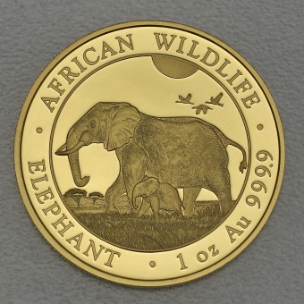 Goldmünze 1oz "Somalia Elefant 2022" 