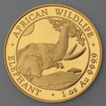 Goldmünze 1oz "Elefant" 2023 African Wildlife (Somalia)