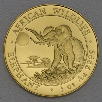 Goldmünze 1oz "Elefant" 2016 African Wildlife (Somalia)