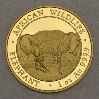 Goldmünze 1oz "Somalia Elefant 2020" 