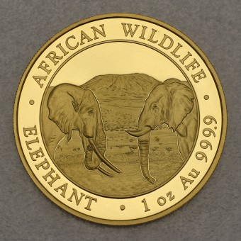 Goldmünze 1oz "Elefant" 2020 African Wildlife (Somalia)