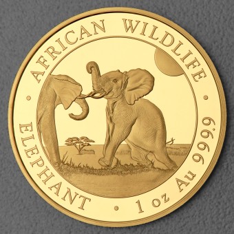 Goldmünze 1oz "Elefant" 2024 African Wildlife (Somalia)