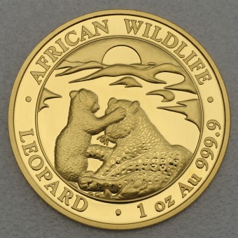 Goldmünze 1oz "Somalia Leopard - 2019" African Wildlife Serie