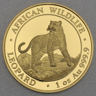 Goldmünze 1oz "Leopard" 2022 African Wildlife (Somalia)