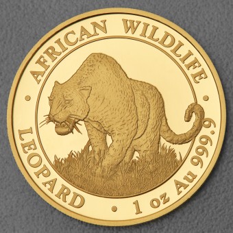 Goldmünze 1oz "Leopard" 2023 African Wildlife (Somalia)
