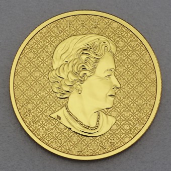 Goldmünze 2oz "Maple Leaf" 2021 Reverse Proof (Kanada)