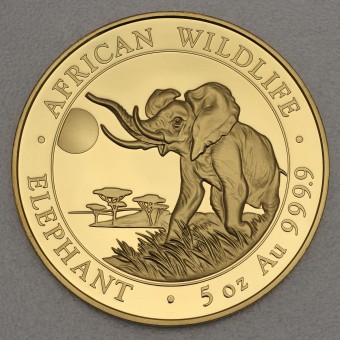 Goldmünze 5oz "Elefant" 2016 African Wildlife (Somalia)