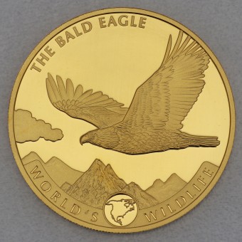 Goldmünze 5oz "Weißkopfseeadler" 2021 World's Wildlife (Kongo)
