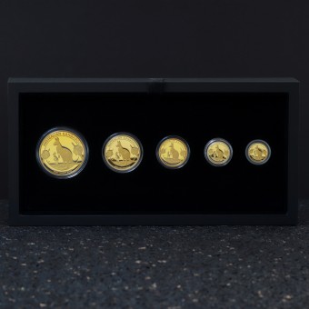 Goldmünze "Känguru" 2020 (PP) Set – 5-teilig (Australien)